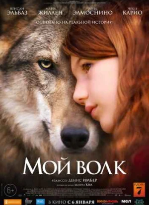 Мой волк
