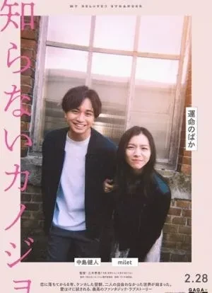 Мой любимый незнакомец 2025