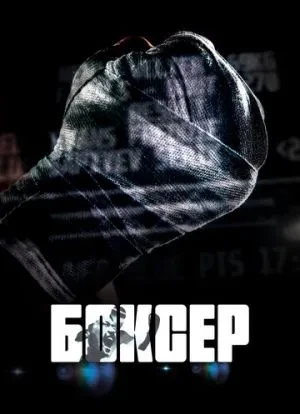 Боксер 2022