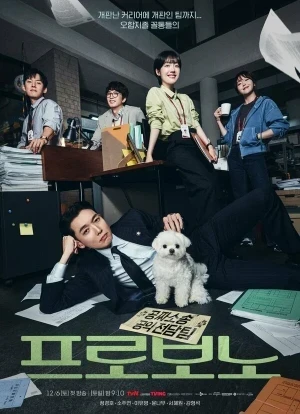 На общественных началах 1 сезон 2025